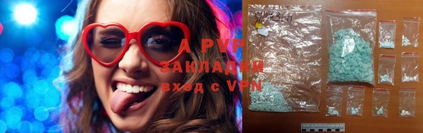 молекула духа Богданович