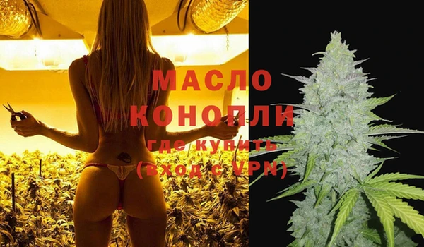молекула духа Богданович