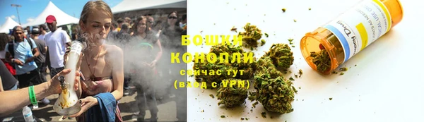 МДПВ Богородск