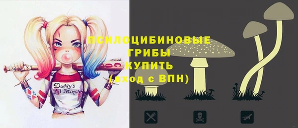 молекула духа Богданович