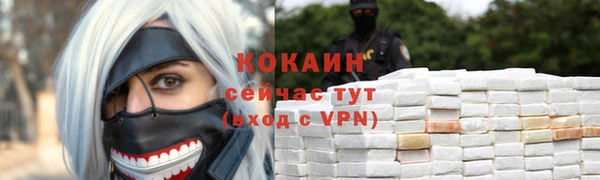 МДПВ Богородск