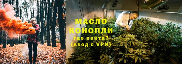 mdpv Богородицк