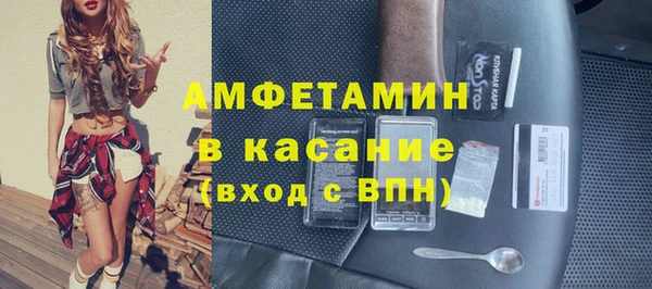 молекула духа Богданович
