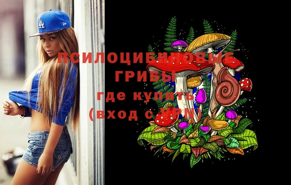 mdpv Богородицк
