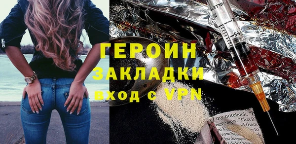 молекула духа Богданович