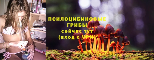 МДПВ Богородск
