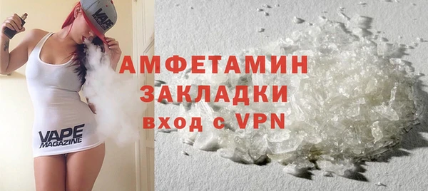 молекула духа Богданович