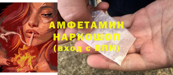 молекула духа Богданович