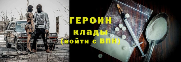 молекула духа Богданович