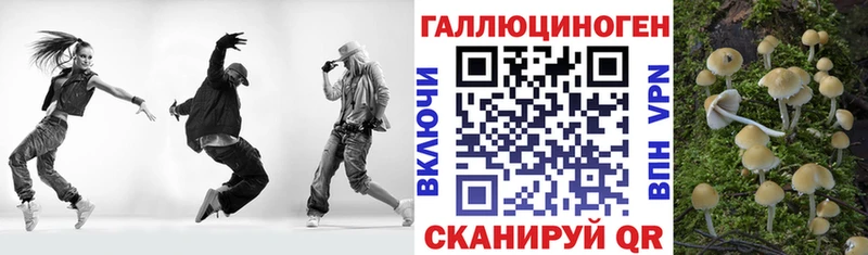 дарнет шоп  Абакан  Галлюциногенные грибы Psilocybine cubensis 